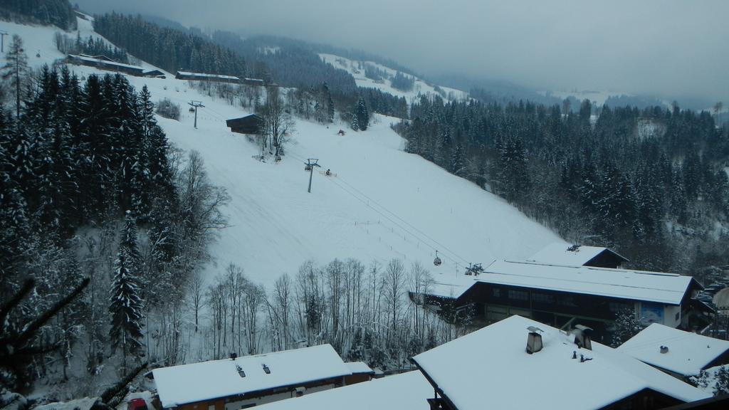 Gondelblick Appartement Alpbach Kamer foto