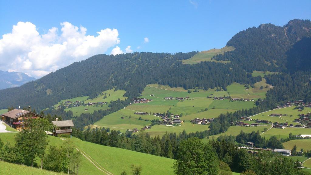 Gondelblick Appartement Alpbach Kamer foto